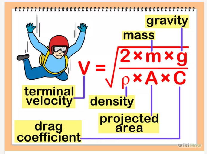 为什么蚂蚁怎么都摔不死? 为什么蚂蚁怎么都摔不死?