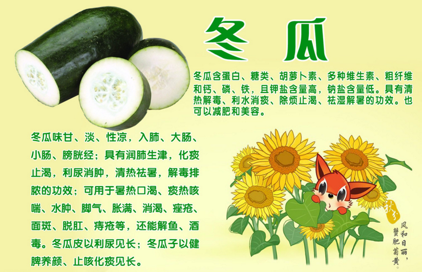 小小冬瓜有奇效 ,作用多多真叫好!