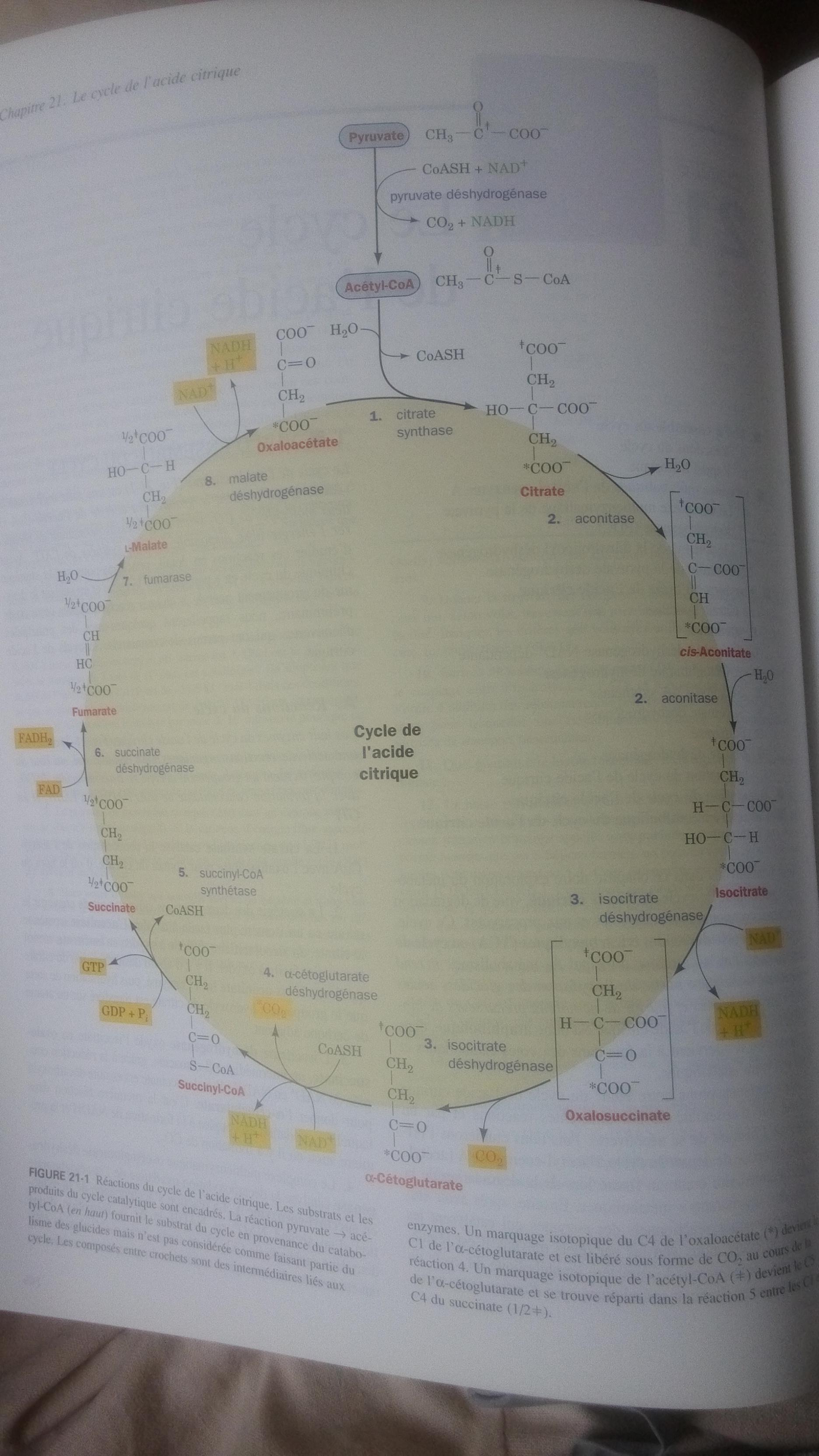 天津科技大学生物工程(酿酒工艺)本科生毕业有