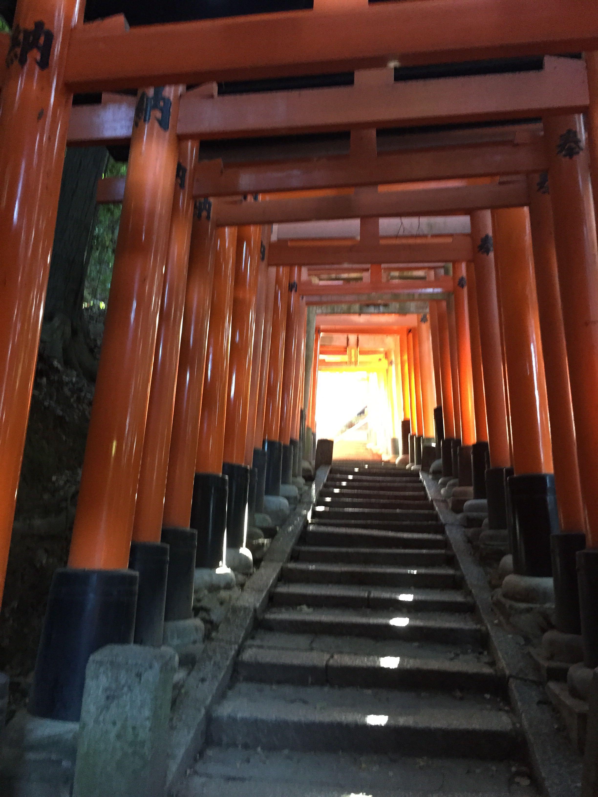 京都稲荷大社千本鸟居大概是目前看到的最震撼的鸟居了.