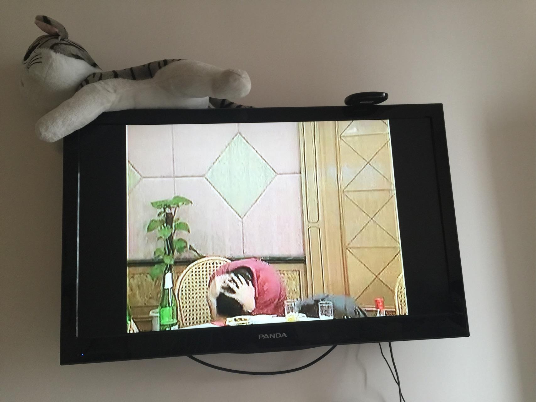 东北一家人里的演员后来怎么都没有很大成就?