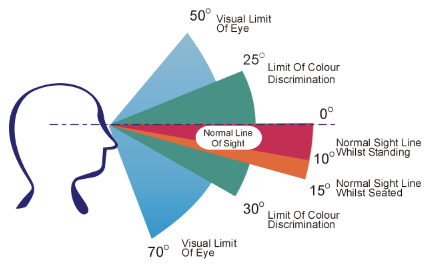 人眼的界限──中央凹、盲点和视域 - 知乎