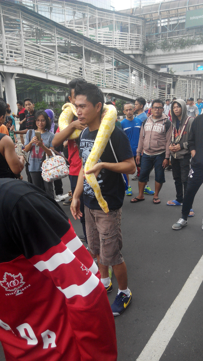 第一次出国,要到印尼雅加达出差,要注意什么?