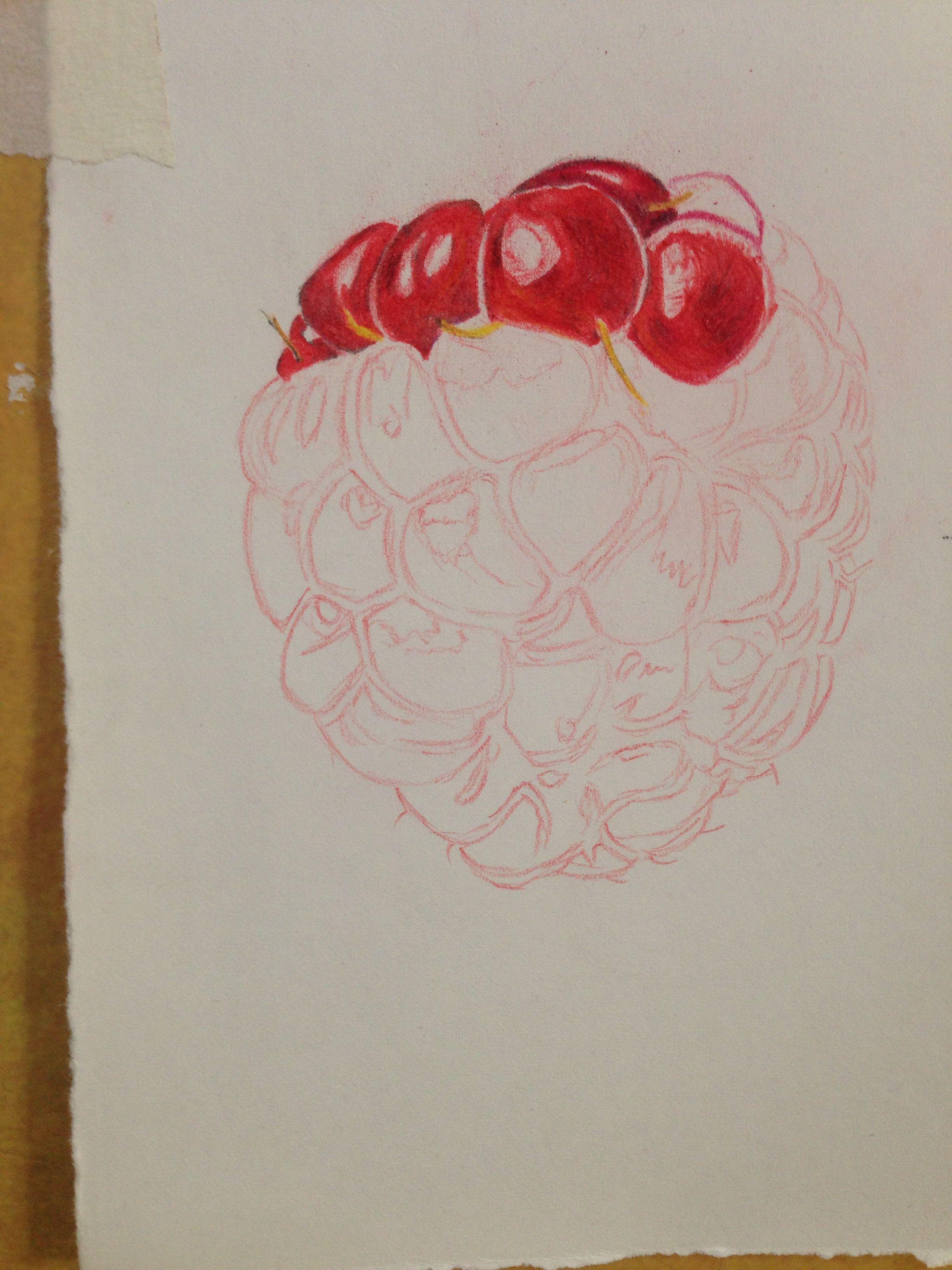 你用彩铅画出了什么样的静物画