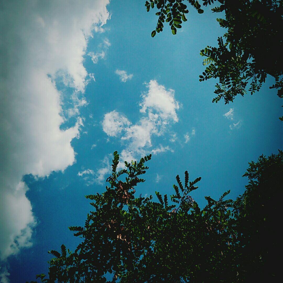 在兰州交大附中就读是什么样的体验?