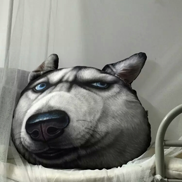 急!如果只有3个月的时间怎么提高托福到90分-