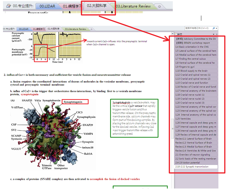 second brain onenote second brain onenote