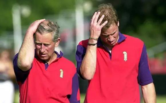 为什么秃顶的人这么多很少有做植发的?