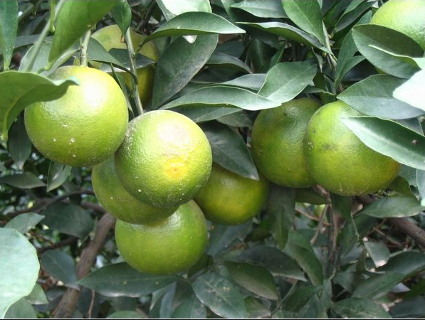 想从国企辞职进入营销策划行业,无基础,是不是