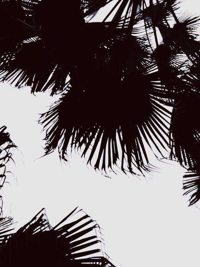 在深圳教苑中学读书是一种什么样的体验? - 黄