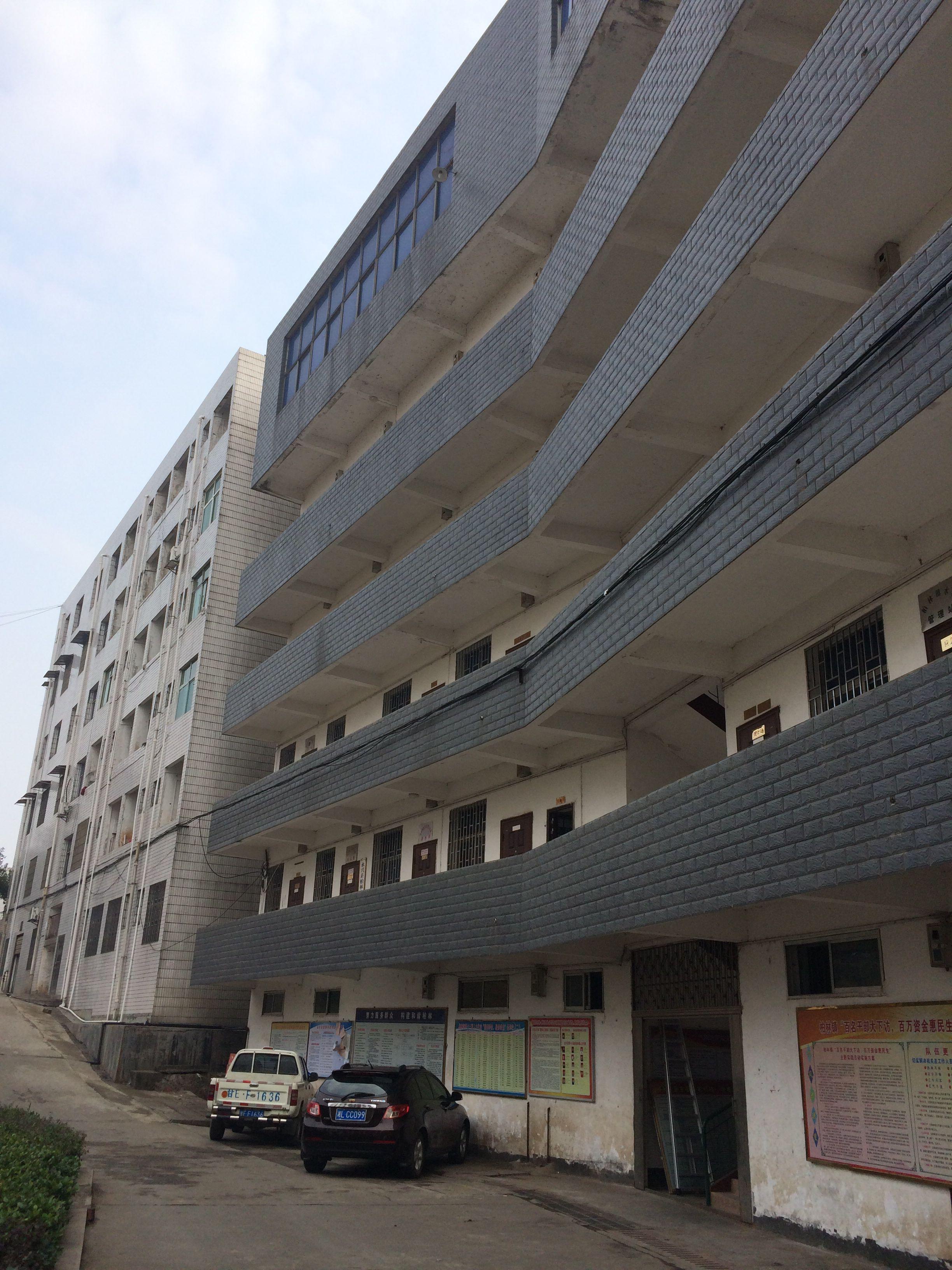 考上公务员,被安排当局领导秘书,写发言、综合