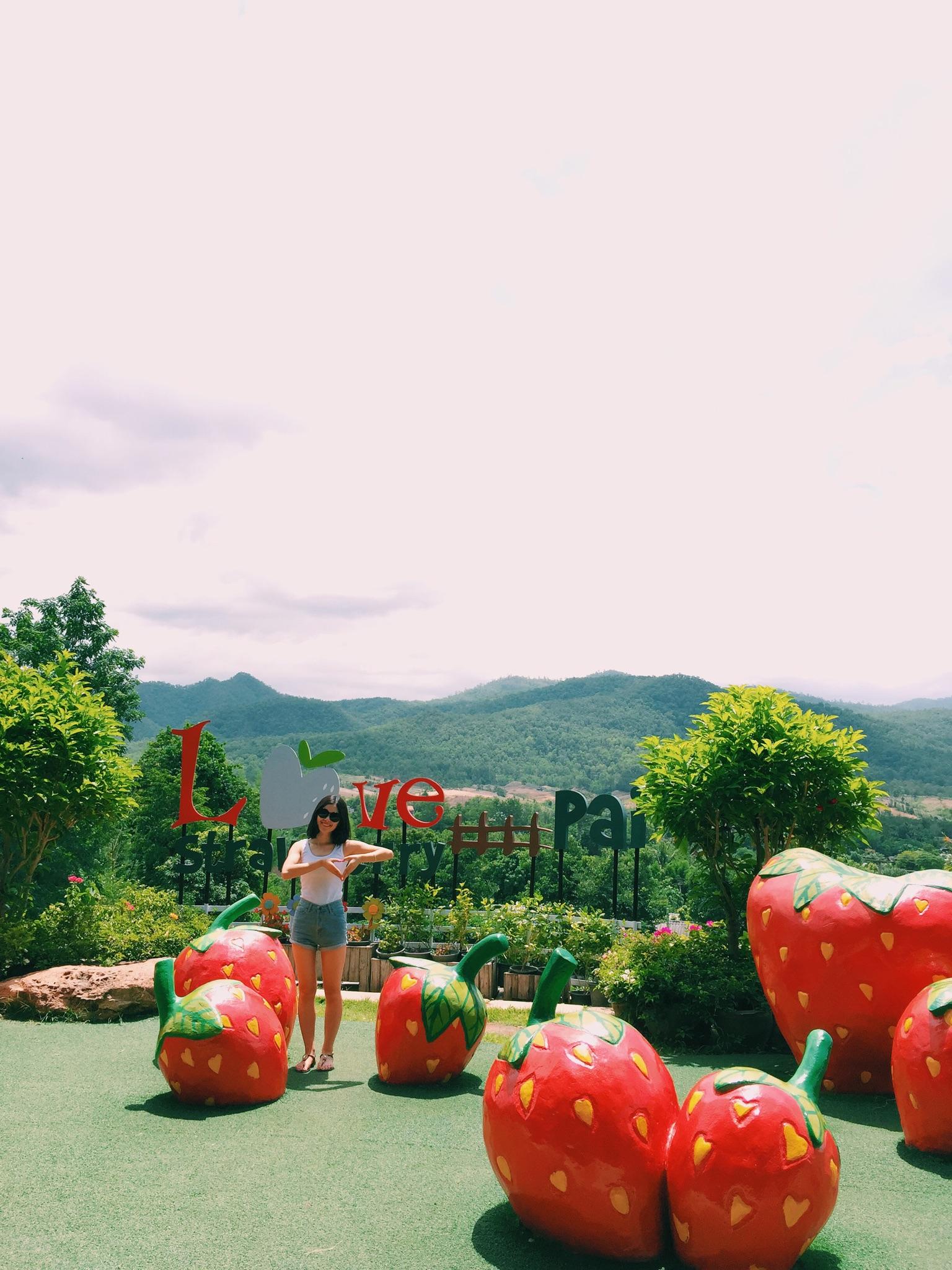 打算六月去泰国自由行一周,需要带多少钱呢? 