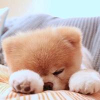 魔女宅急便cheerup