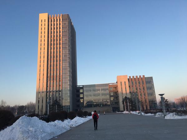 图书馆学就业前景_图书馆学发展前景_图书前景馆就业学历要求