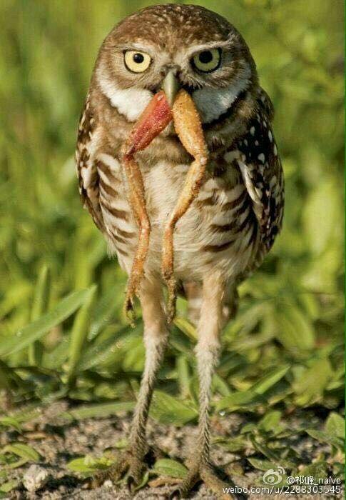 什么是家庭暴力? - 家庭暴力