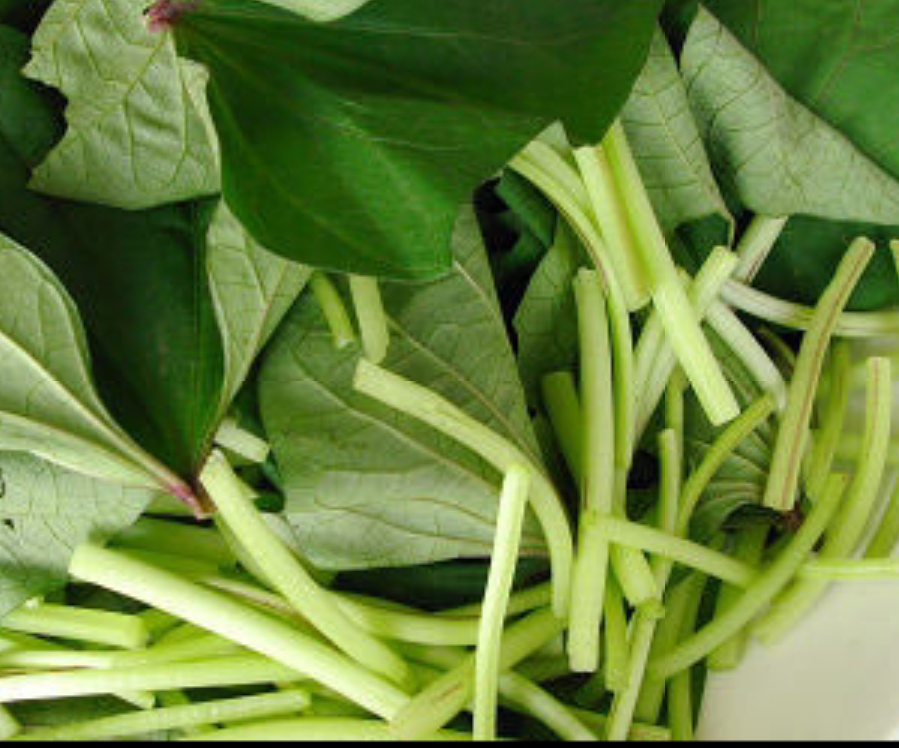 有哪些家乡很常见但外地没有的蔬菜呢? - 杨西