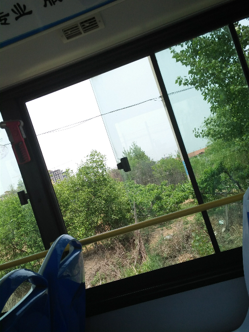 路痴是一种怎样的体验? - 张ice说她很忙阿的回答