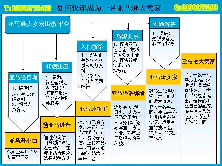 如何快速成为亚马逊大卖家? - 李炎的回答