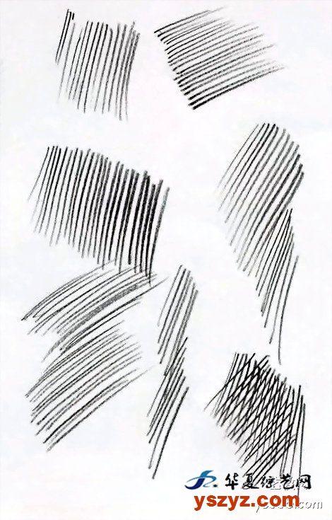 线条刚开始学素描