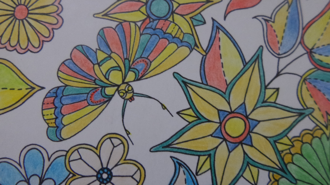 涂秘密花园到底需要什么样的彩色铅笔