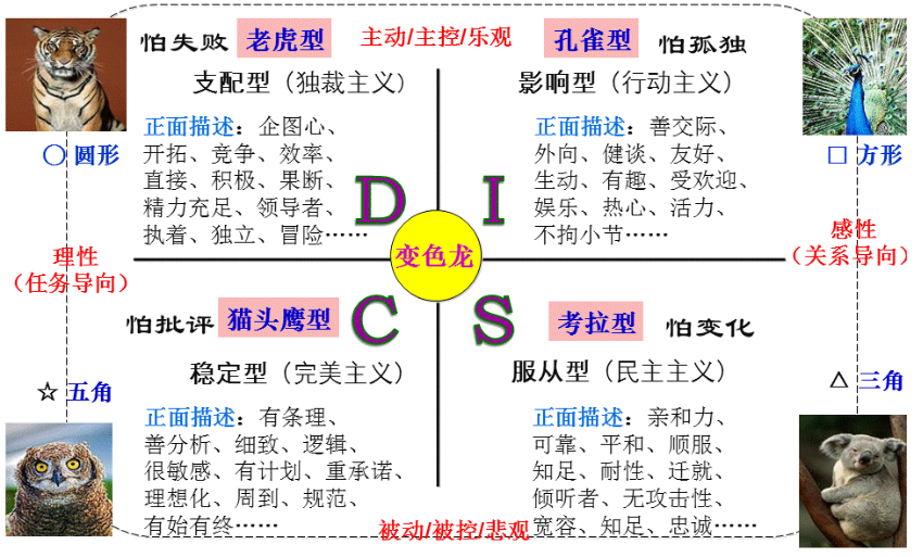 英语专业转行做程序员,有什么优势吗?