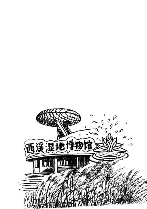像外星球的西溪湿地博物馆.