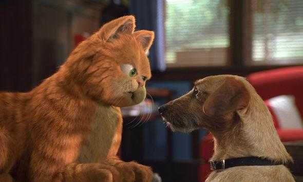 有什么主角是胖子的影视作品?