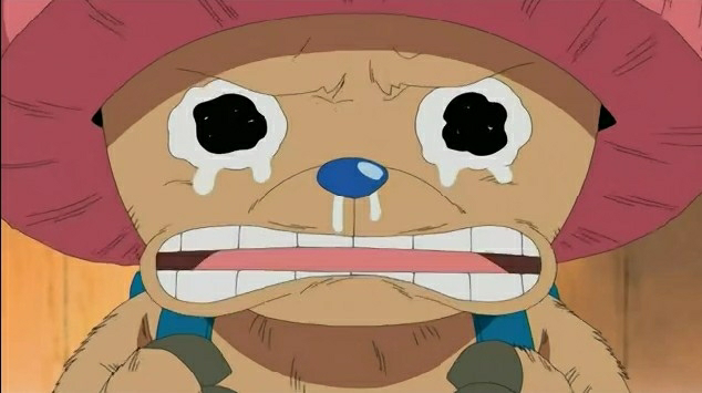 有个哥哥是怎样的体验?