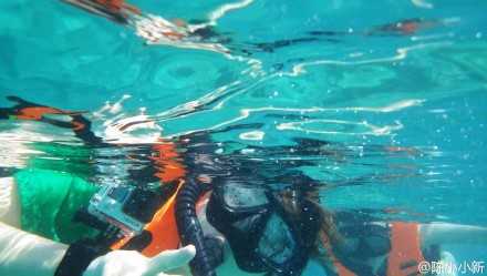 求大神分析gopro潜水配件 知乎 求大神分析gopro潜水配件 知乎