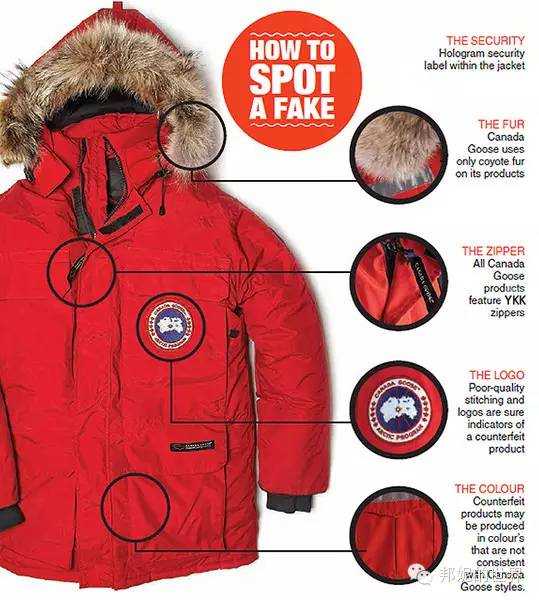 canada goose k鴅 online canada goose k鴅 online