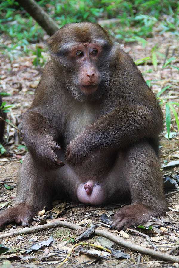 收了山里人家的礼物要回送一些生活用品的,珍稀的药材和兽皮他带回家