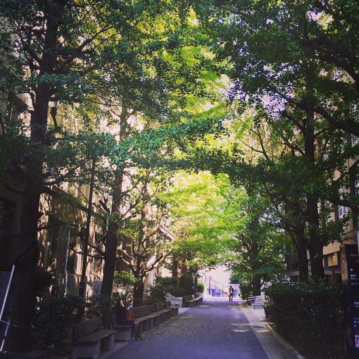 早稻田大学怎么样 知乎 早稻田大学怎么样 知乎