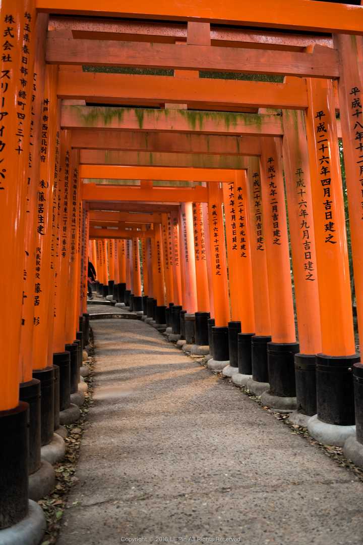 以 建筑观光 为主要目的一个艺术迷或建筑迷的日本文化旅行 有哪些值得推荐的路线 知乎
