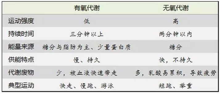 有氧运动和无氧运动有哪些区别 知乎