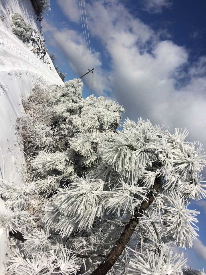 金鸡山,20160124