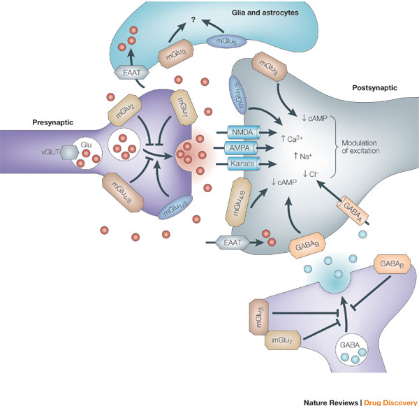 为什么紧张时的大脑什么也想不起来,还有些发热?