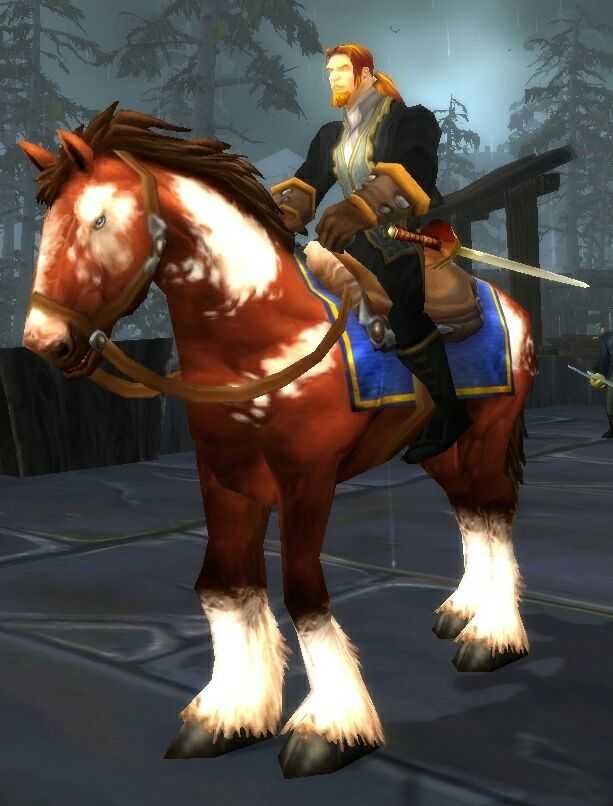 利亚姆格雷迈恩王子——也许是魔兽系列里唯一没有黑点的储君了吧.