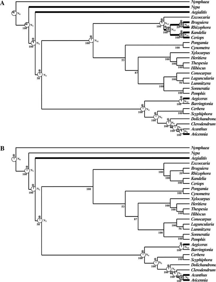 有哪些高等植物生活在海洋里 知乎