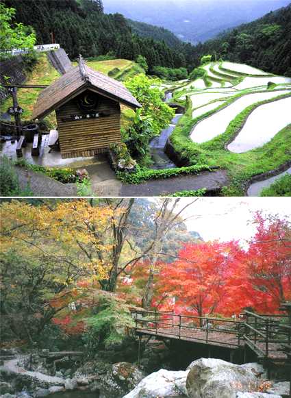 上胜町【德岛县】