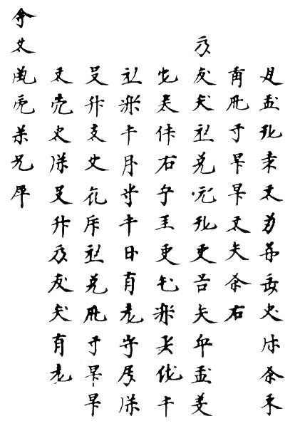 汉字之外还有其他华夏文字吗？