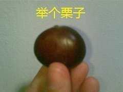 中国的公侯伯子男和欧洲的爵位为什么是一样的 知乎 中国的公侯伯子男和欧洲的爵位为什么是一样的 知乎