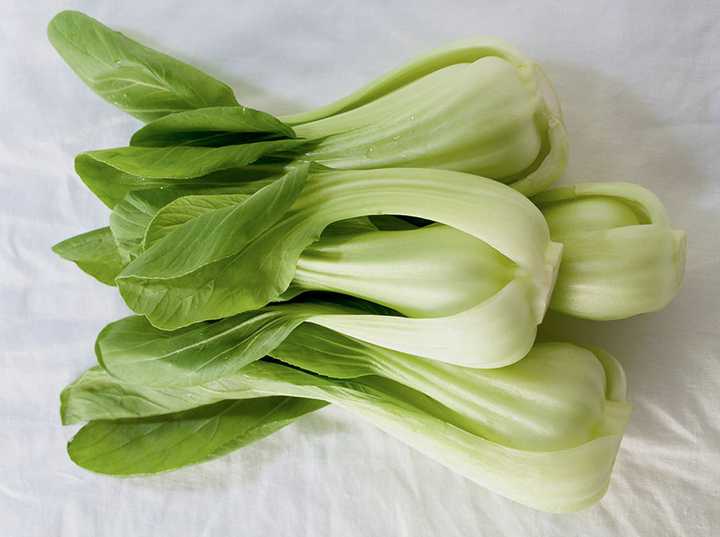 小青菜,油菜,青菜,小白菜的区别?