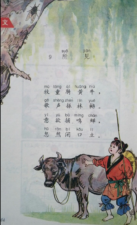 90年代的小学语文课本是一种怎样的存在?