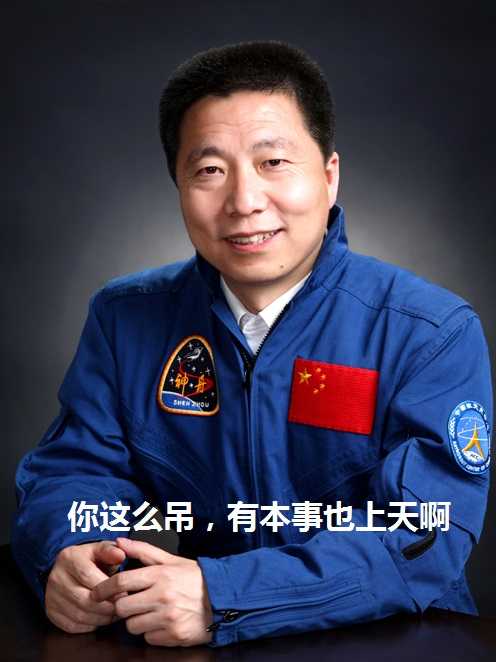 杨利伟是民族英雄吗?