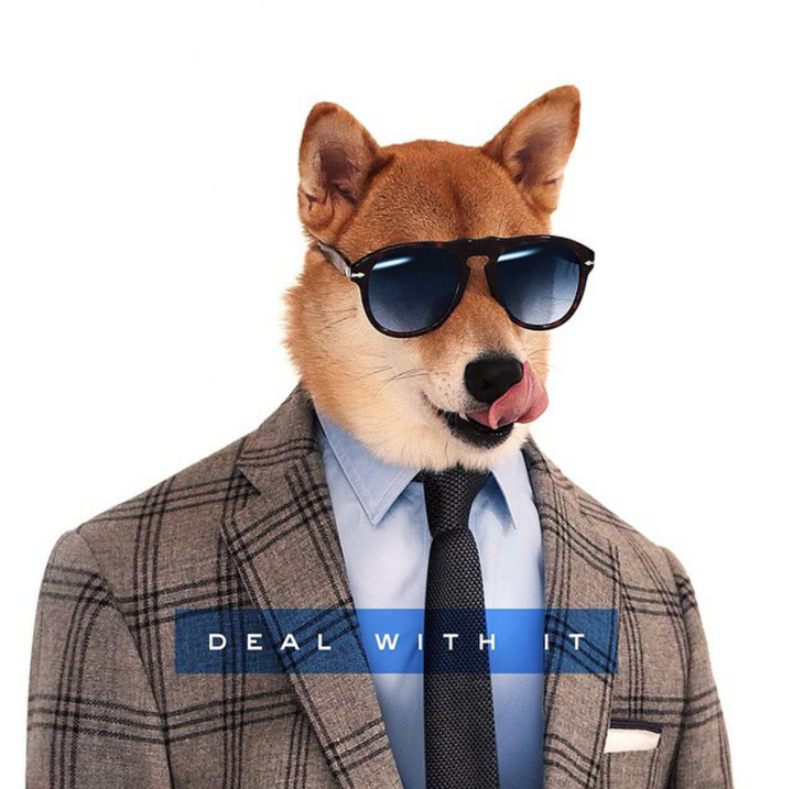 为什么很多知乎男大v开始使用不露脸的精致西装胸脯照作为头像,有何