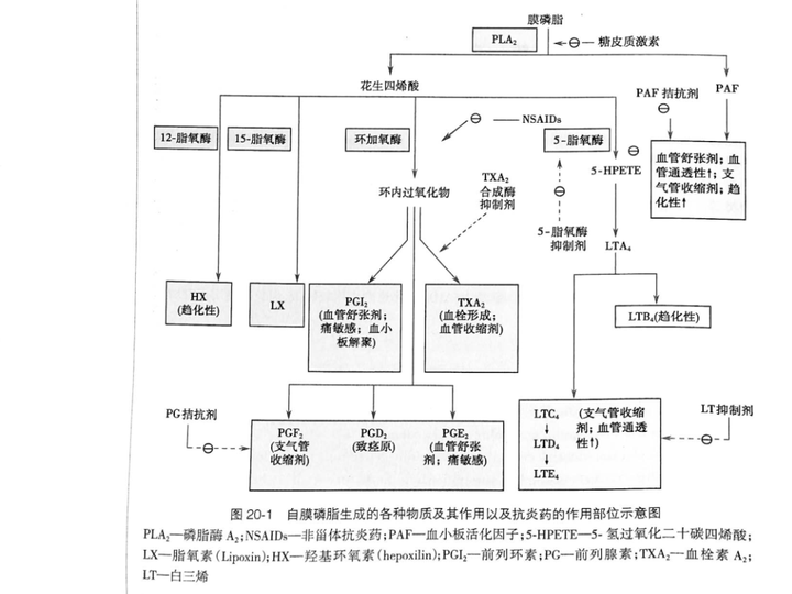 先解释一下布洛芬为nsaids类药,nsaids类药共同的药理作用如下 炎症