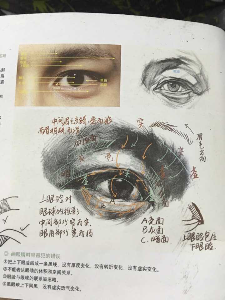 在画室回答你的这个问题,我是学素描的,如楼上而言,五官位置摆放误差