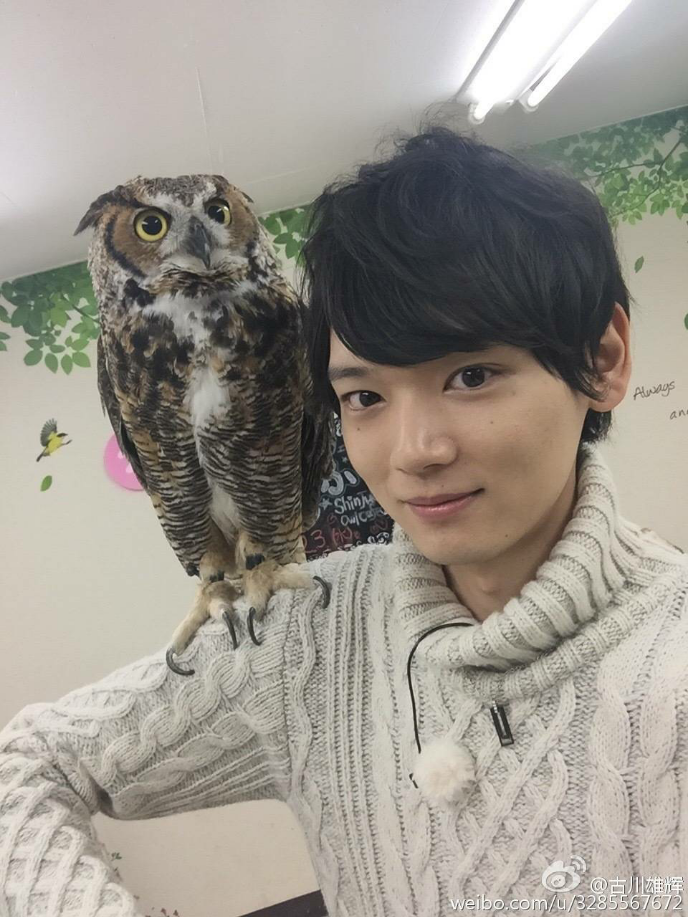 朋友 你听说过古川雄辉吗 有刘海时 美颜对不对!