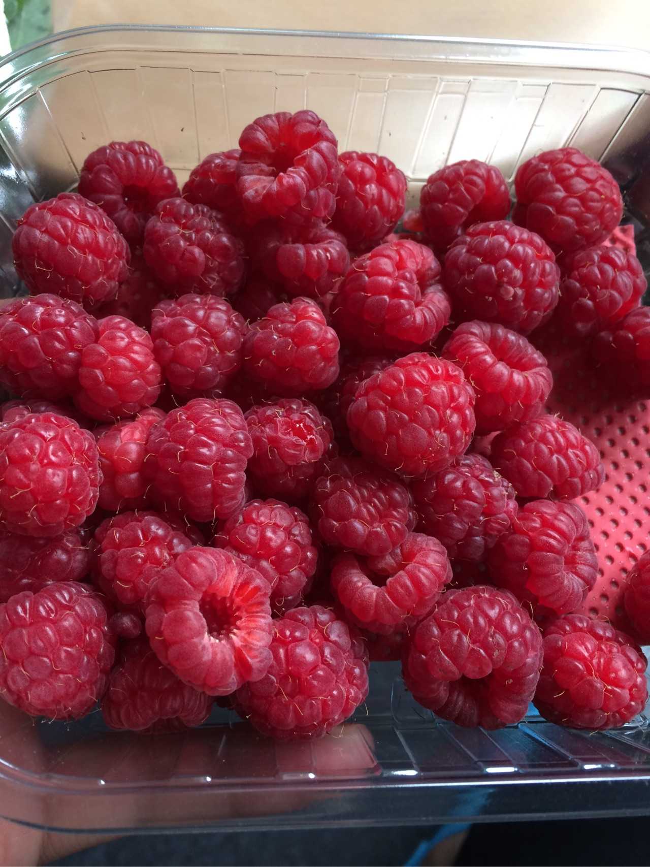 himbeeren stachelbeeren passionsfrüchte 正好周六赶集又拍了琳排