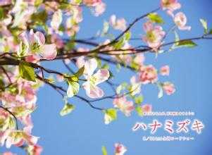 有什么好听的日语歌 知乎